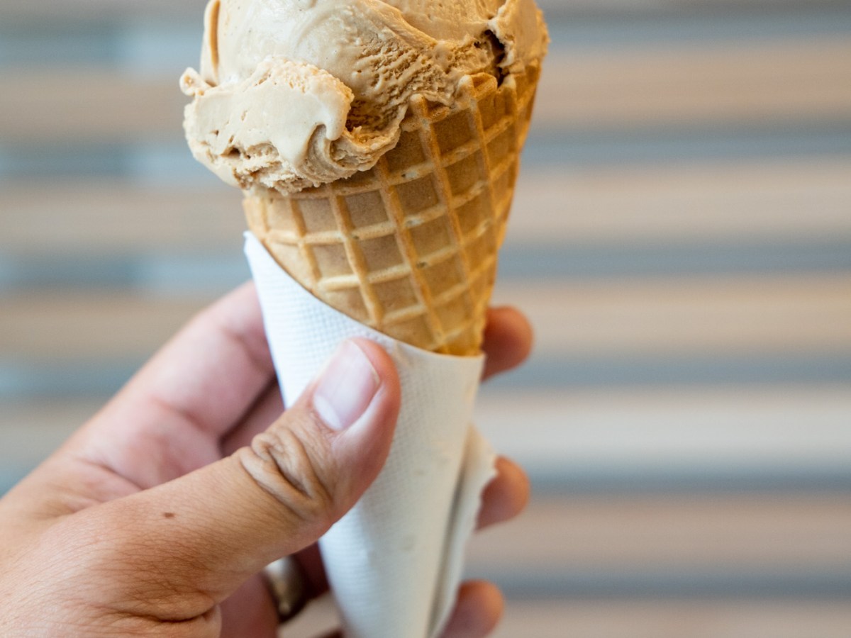The Elephant Garden Creamery – An Innovative Approach to Ice&nbsp;Cream